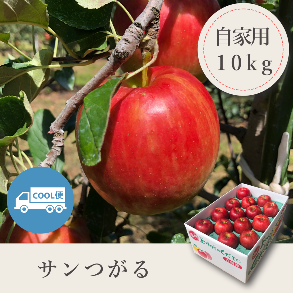 サンつがる 自家用【10kg】