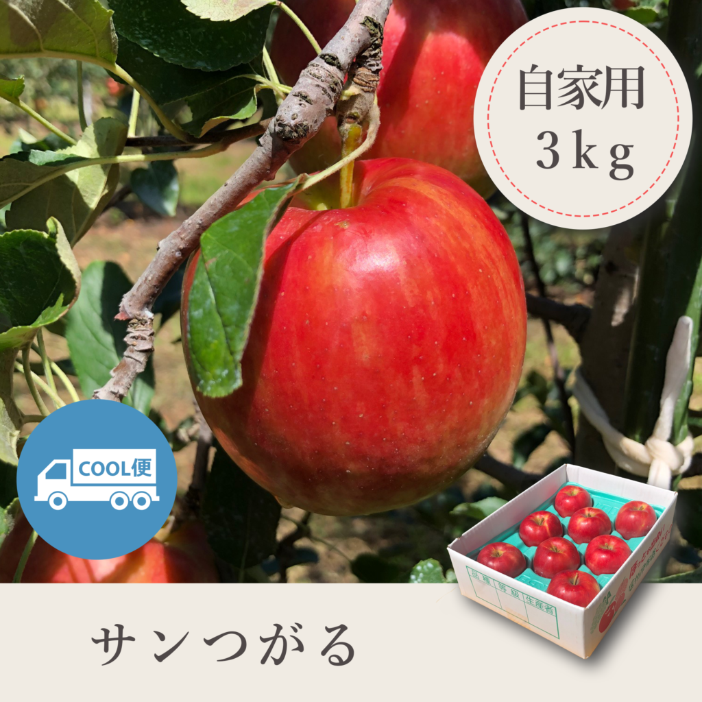 サンつがる 自家用【3kg】