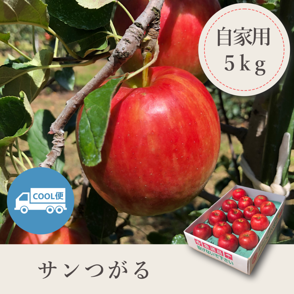 サンつがる 自家用【5kg】