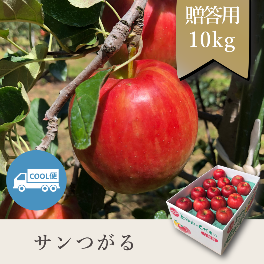 サンつがる 贈答用【10kg】