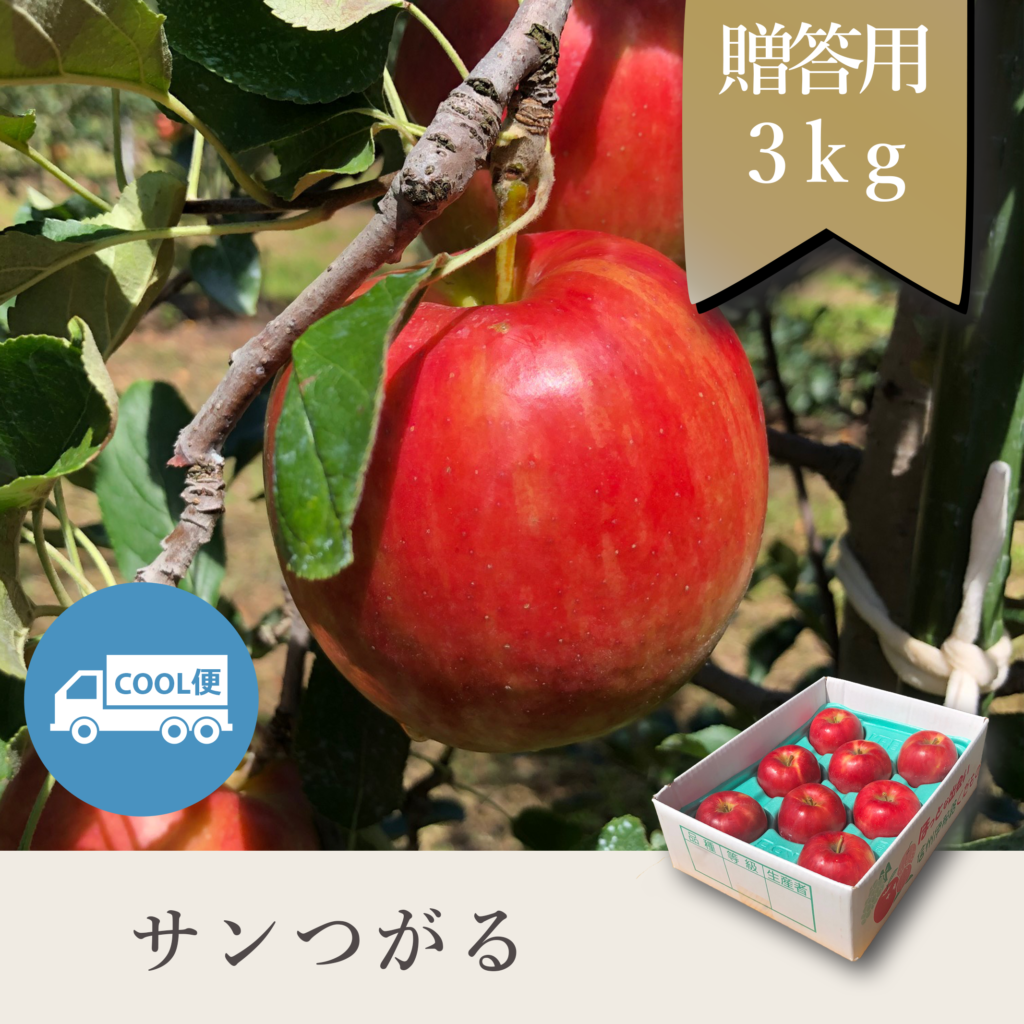 サンつがる 贈答用【3kg】