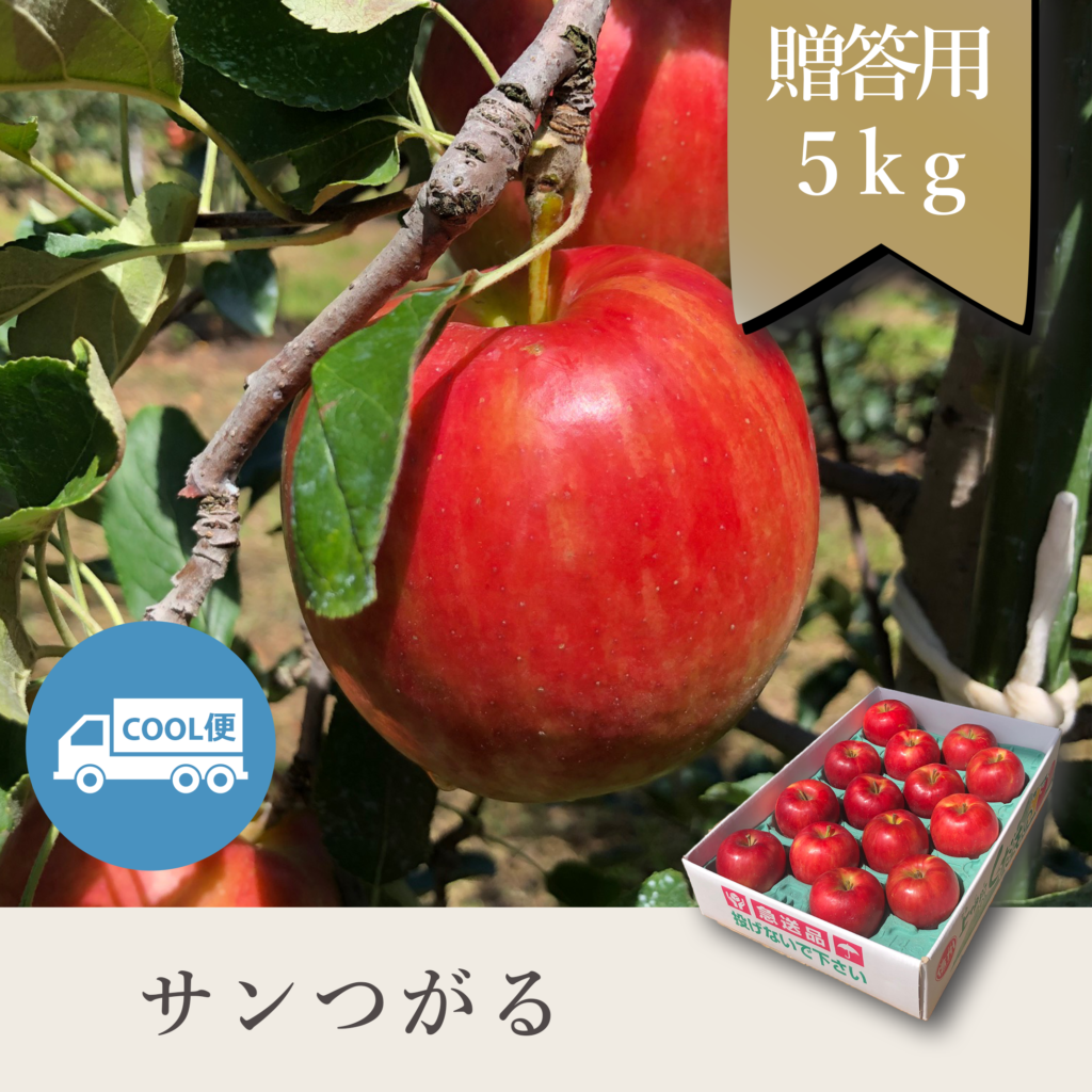 サンつがる 贈答用【5kg】
