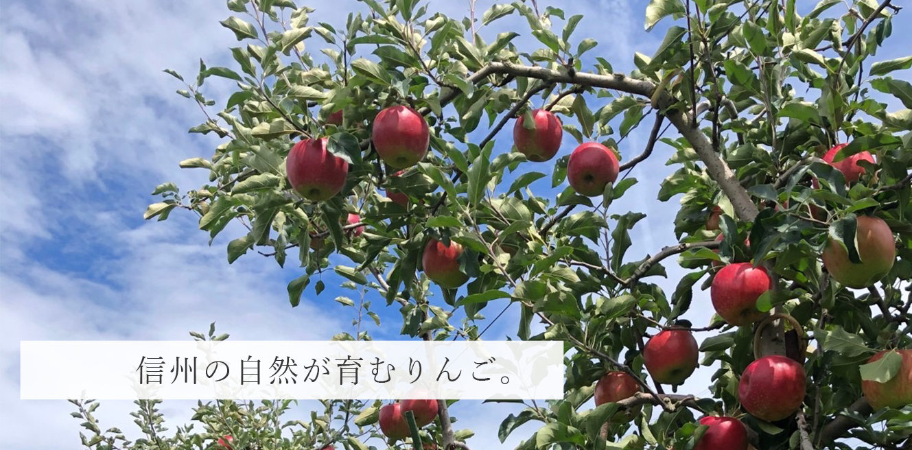 湯沢農園─りんご販売 産地直送でおいしいりんごをお届け─ – 味を重視