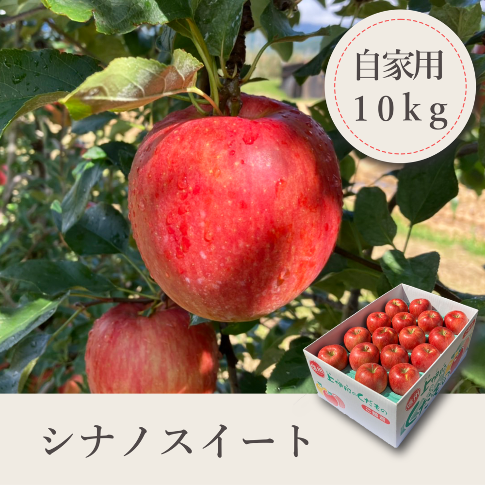 シナノスイート 自家用【10kg】