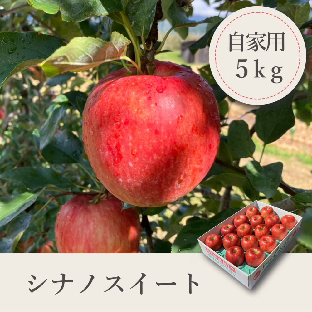 シナノスイート 自家用【5kg】