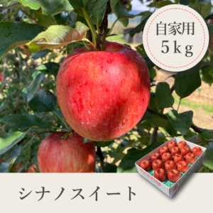 シナノスイート 自家用【5kg】