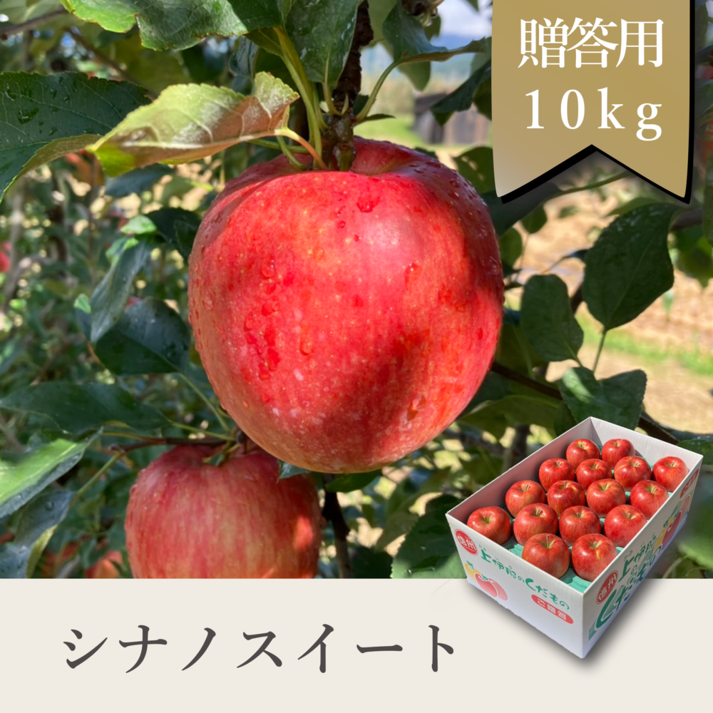 シナノスイート 贈答用【10kg】