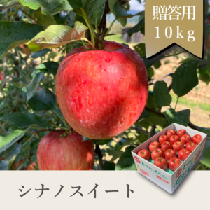 シナノスイート 贈答用【10kg】