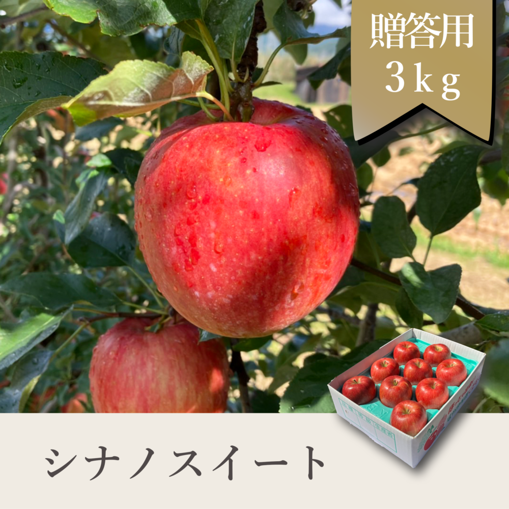 シナノスイート 贈答用【3kg】