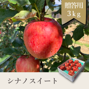 シナノスイート 贈答用【3kg】