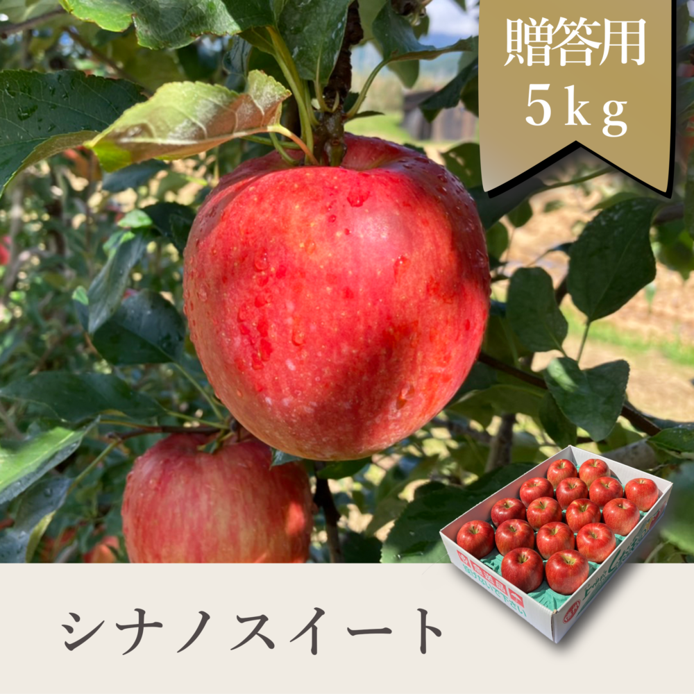 シナノスイート 贈答用【5kg】