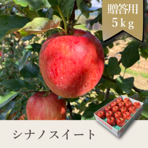 シナノスイート 贈答用【5kg】