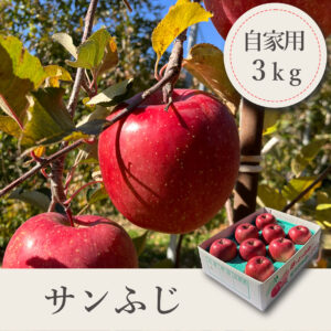 サンふじ 自家用【3kg】