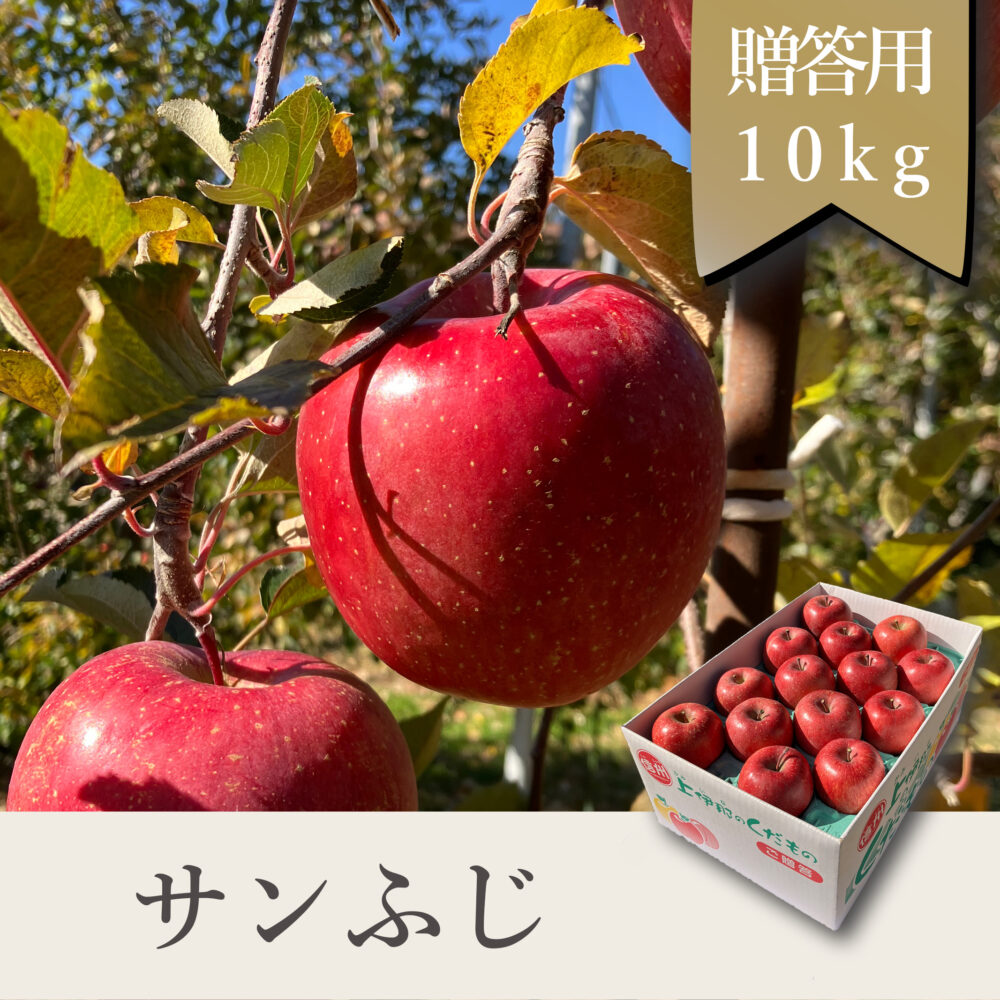 サンふじ 贈答用【10kg】