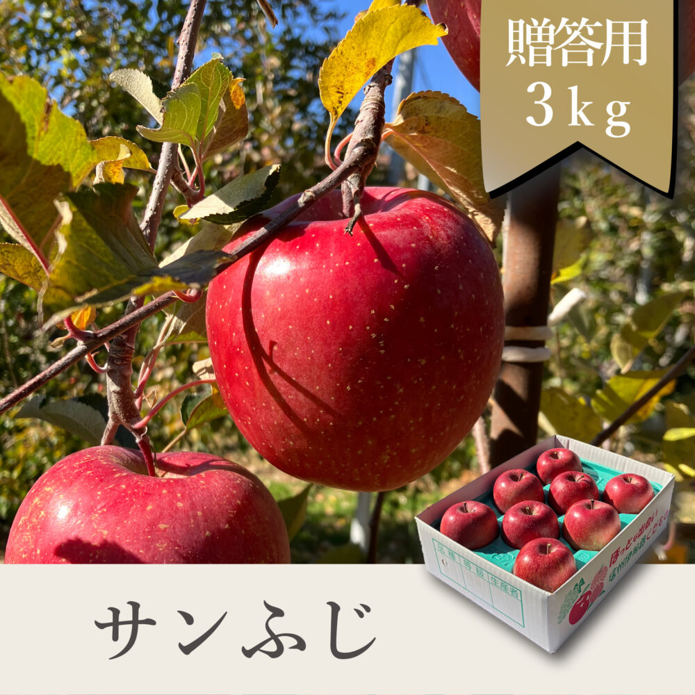 サンふじ 贈答用【3kg】