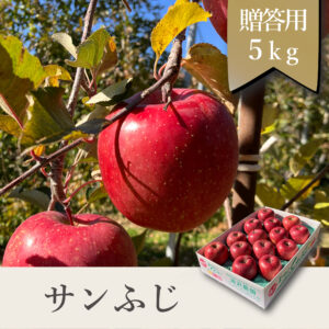 サンふじ 贈答用【5kg】