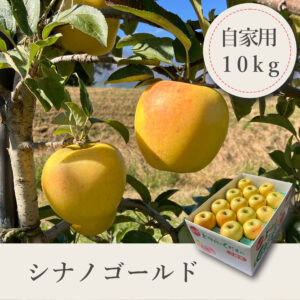 シナノゴールド 自家用【10kg】