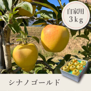 シナノゴールド 自家用【3kg】