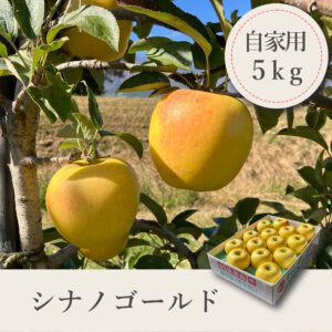 シナノゴールド 自家用【5kg】