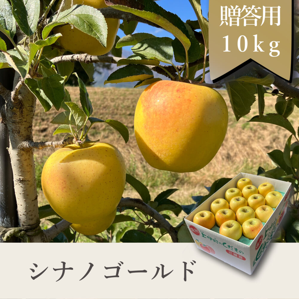 シナノゴールド 贈答用【10kg】