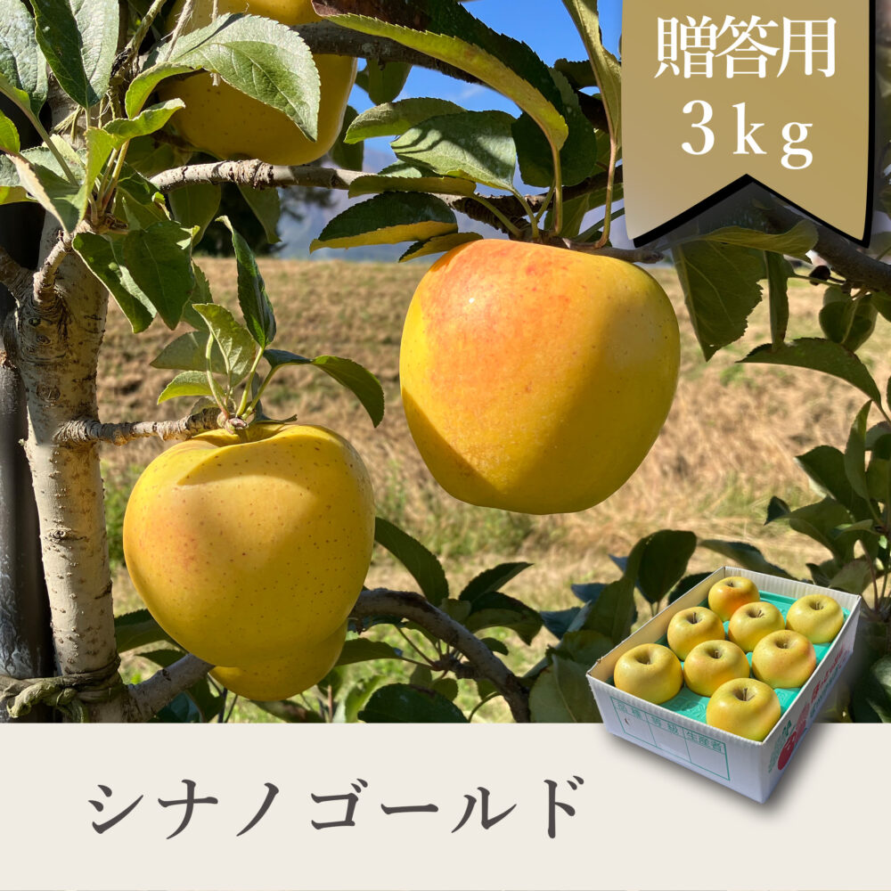 シナノゴールド 贈答用【3kg】