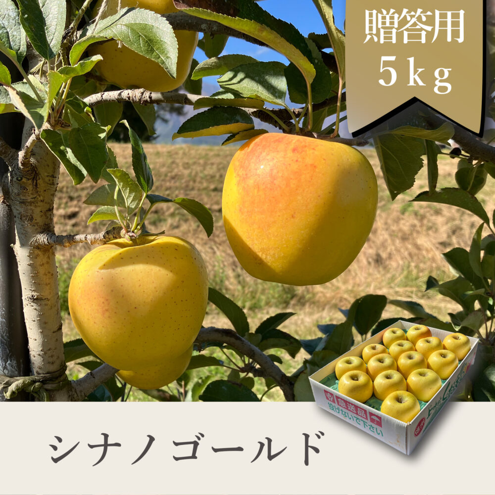 シナノゴールド 贈答用【5kg】