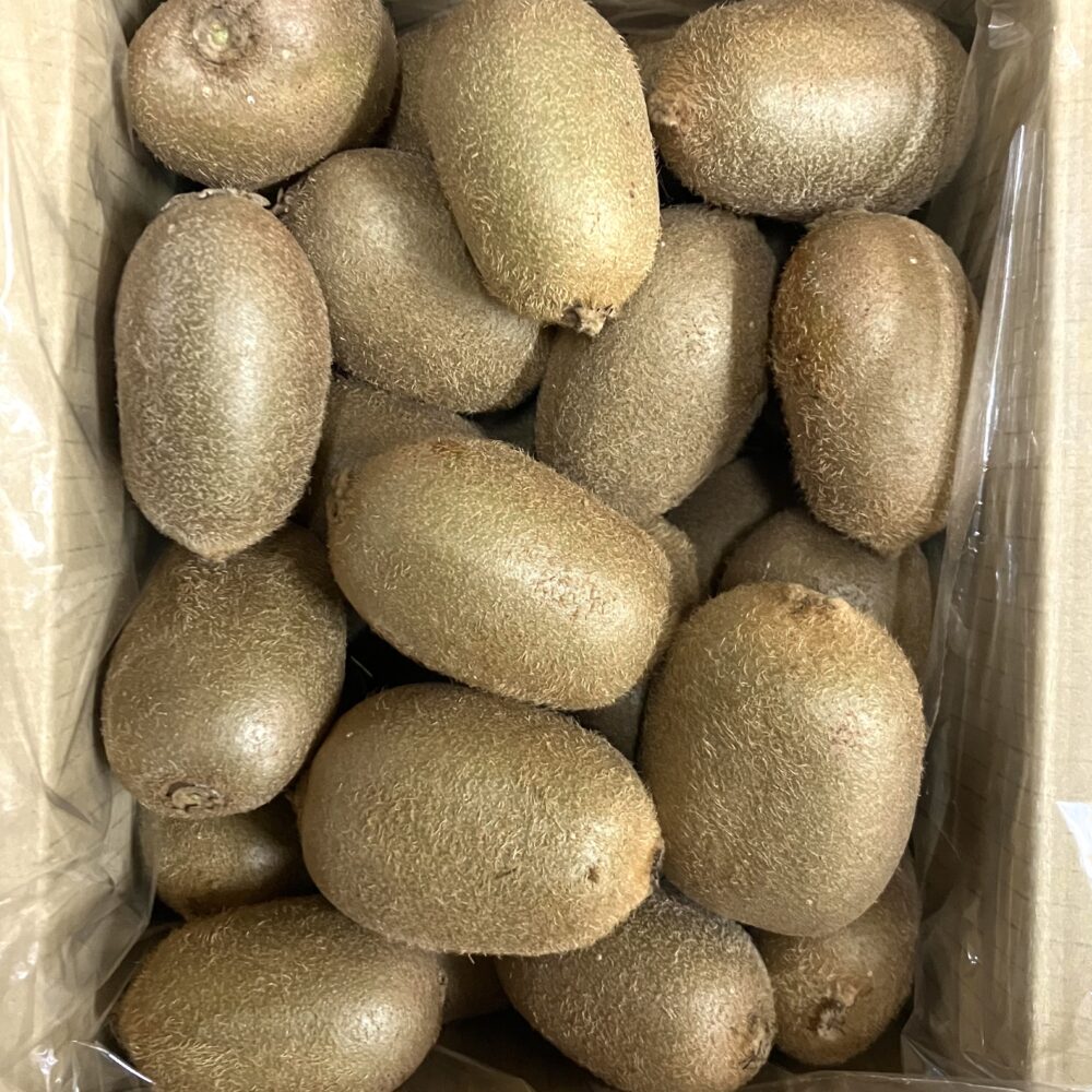 キウイ【2kg】