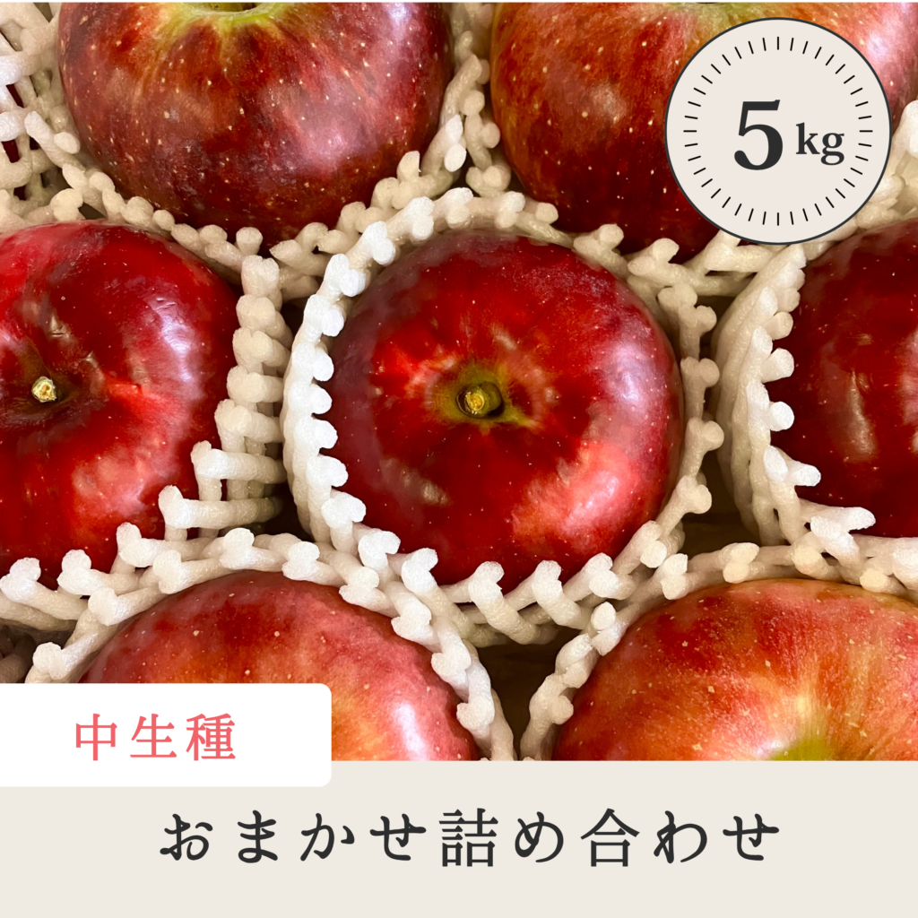 中生種おまかせ詰め合わせセット 【5kg】