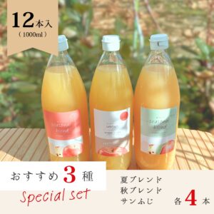 おすすめ3種　12本セット