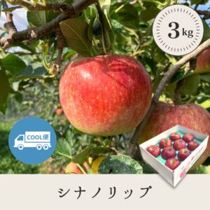 シナノリップ 【3kg】
