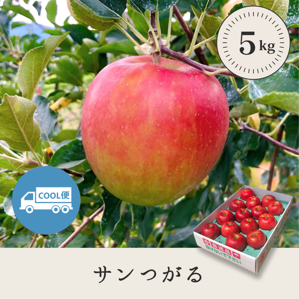 サンつがる 【5kg】
