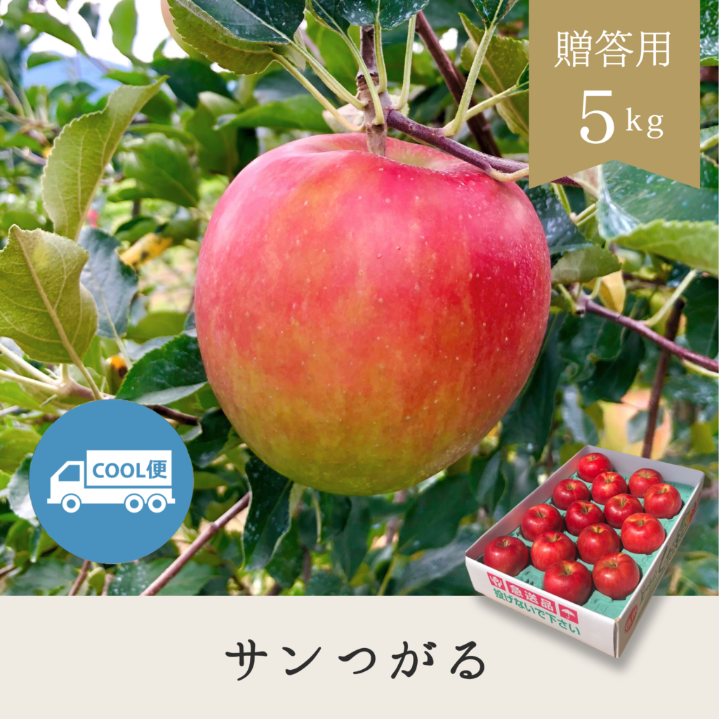 サンつがる 贈答用【5kg】