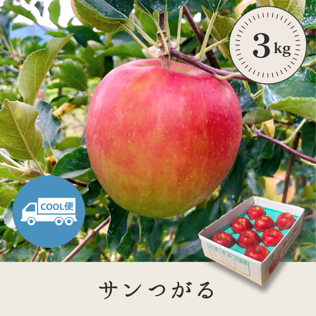 サンつがる 【3kg】