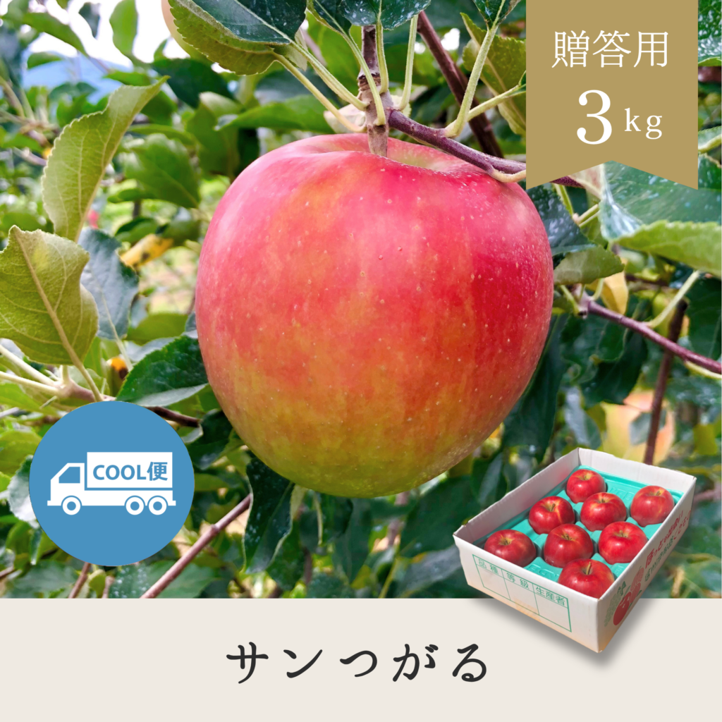 サンつがる 贈答用【3kg】