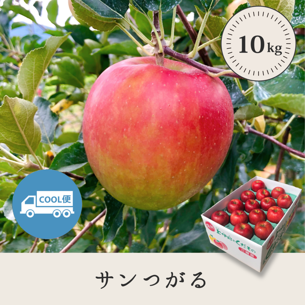 サンつがる 【10kg】