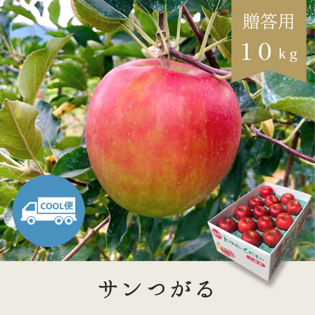 サンつがる 贈答用【10kg】