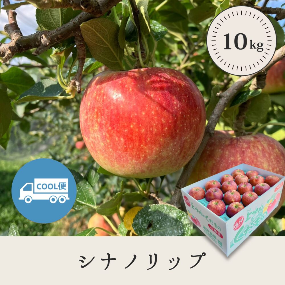 シナノリップ 【10kg】