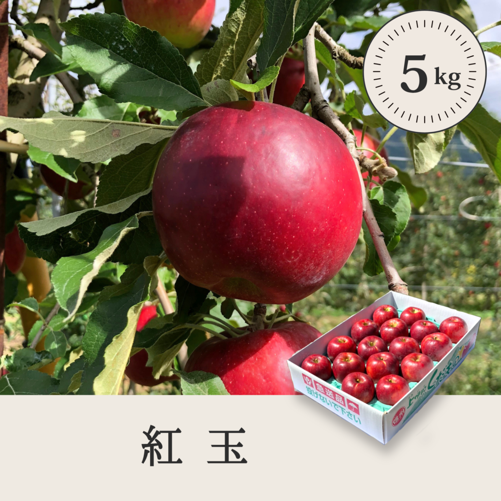 紅玉 【5kg】