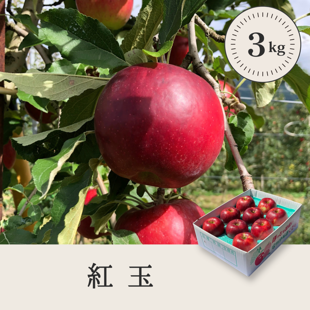 紅玉 【3kg】