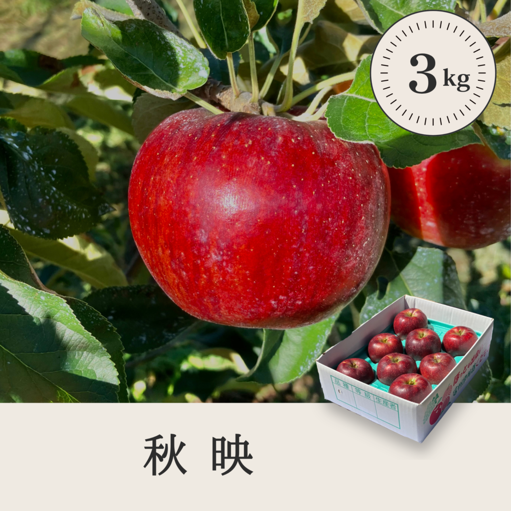 秋映 【3kg】