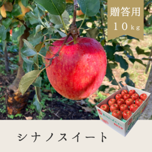 シナノスイート 贈答用【10kg】