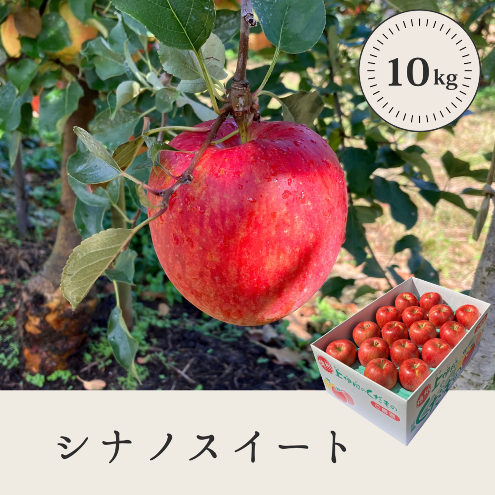 シナノスイート 【10kg】