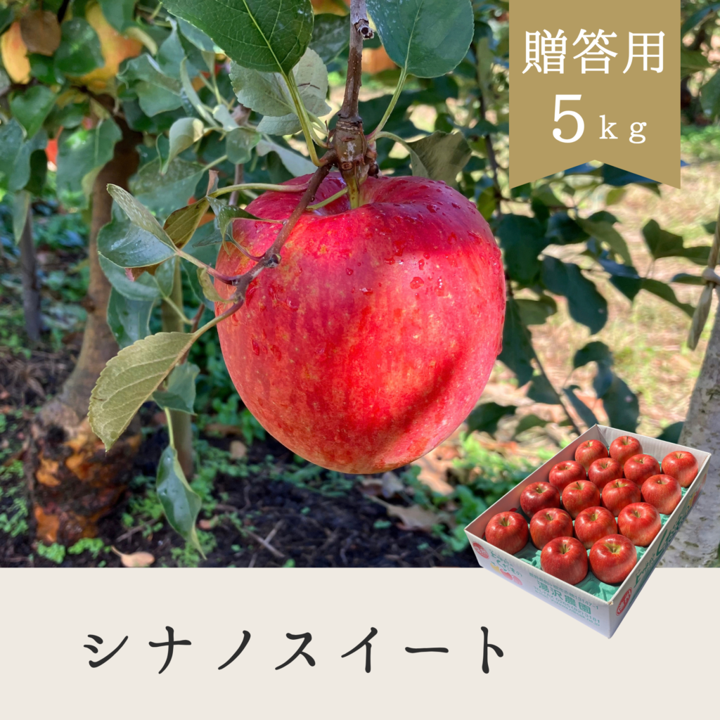 シナノスイート 贈答用【5kg】