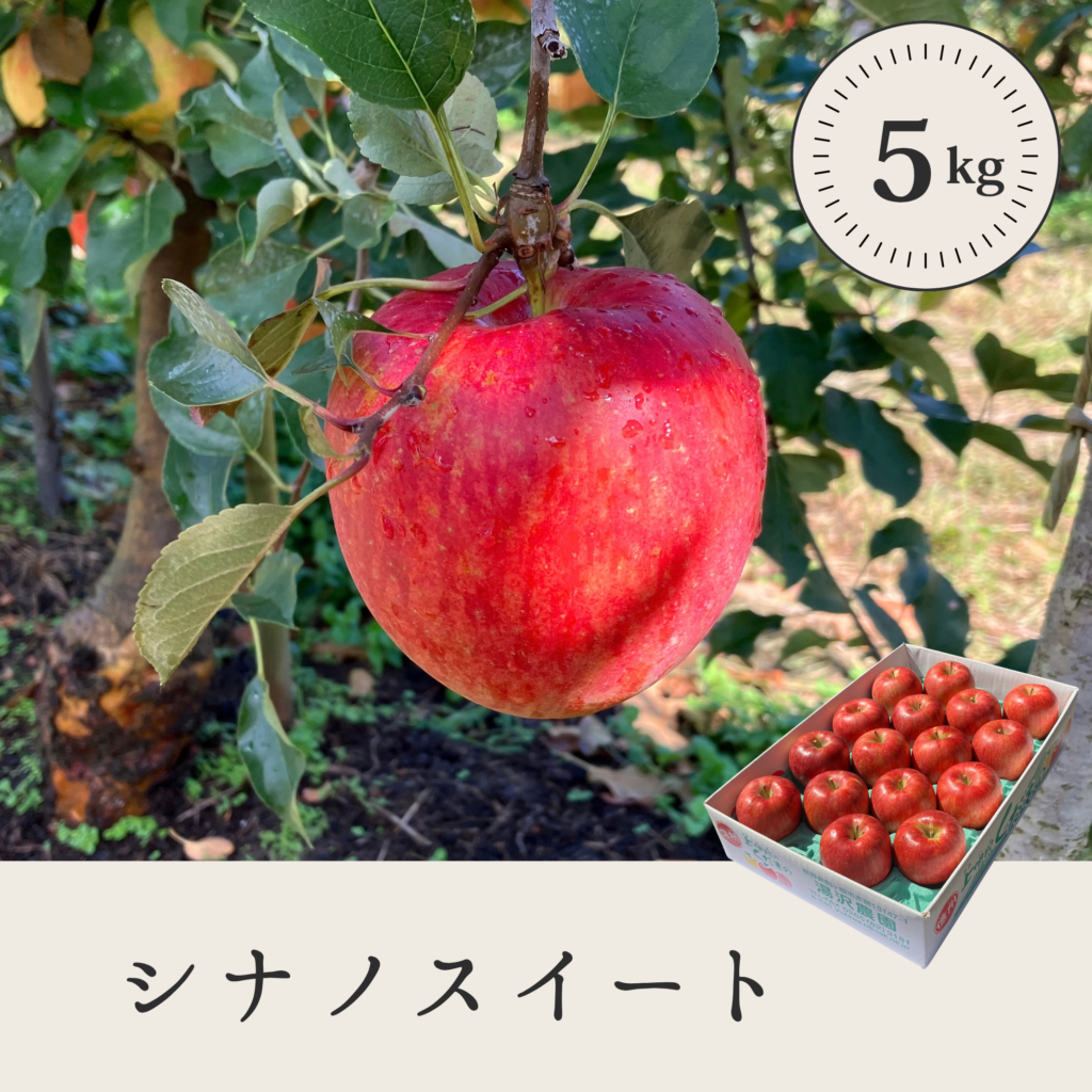 シナノスイート 【5kg】