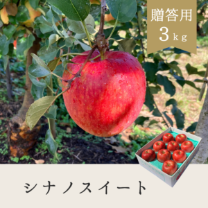 シナノスイート 贈答用【3kg】