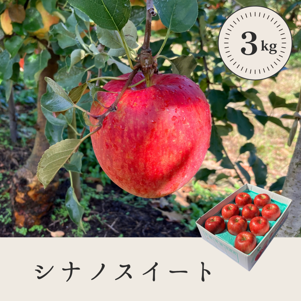 シナノスイート 【3kg】