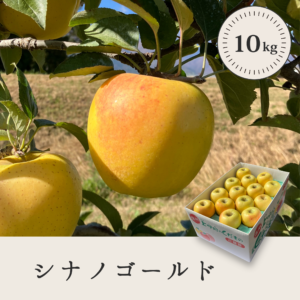 シナノゴールド 【10kg】