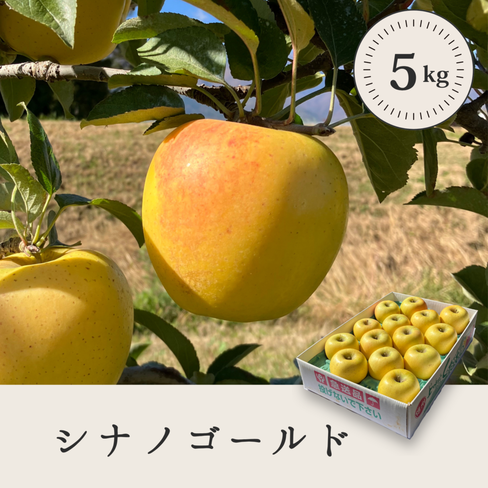 シナノゴールド 【5kg】