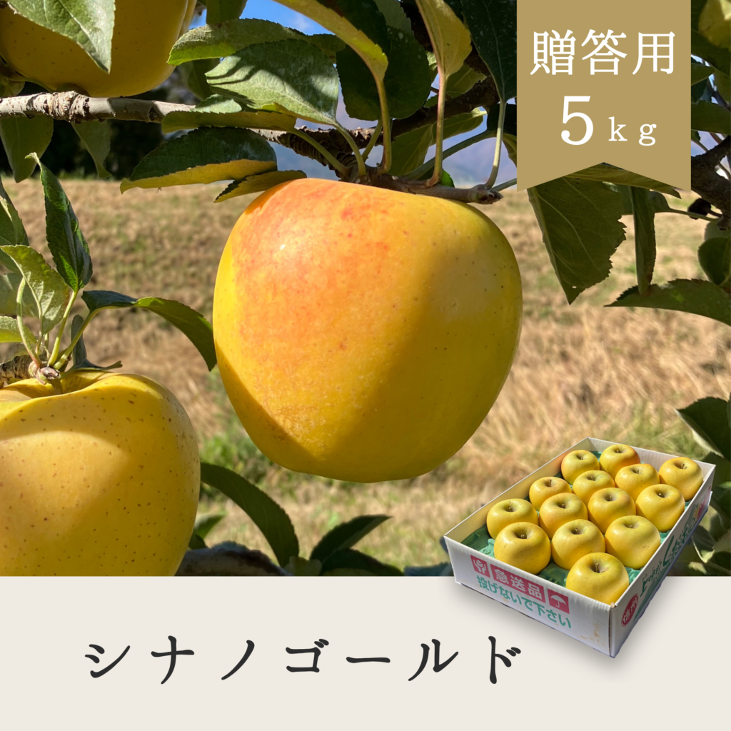 シナノゴールド 贈答用【5kg】