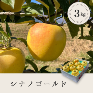 シナノゴールド 【3kg】